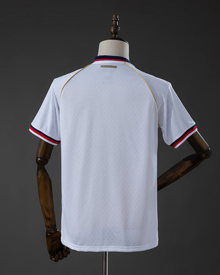 26/27  Palmeiras Training Shirt