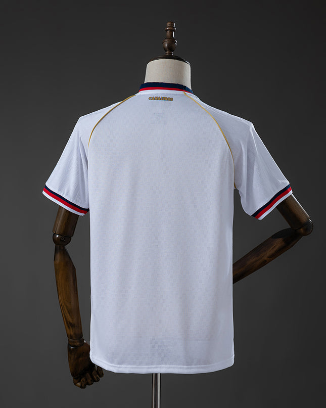 26/27  Palmeiras Training Shirt