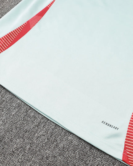 2024-25 Spain light blue training suit S-2XL