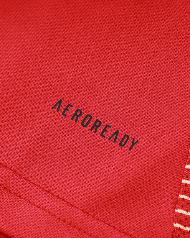 2024-25 Spain Red Training Suit S-2XL