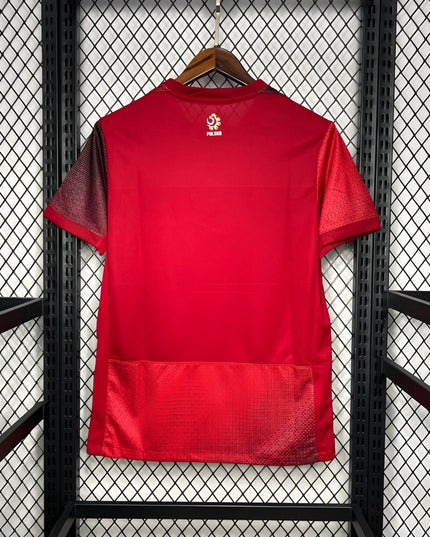 Poland 24/25 Away Shirt