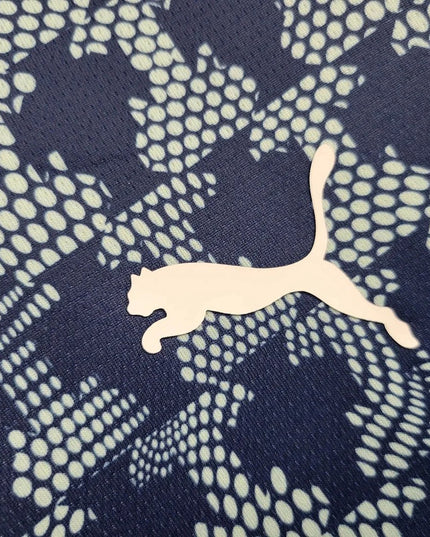 Camiseta especial de estilo de vida de Portugal 25/26