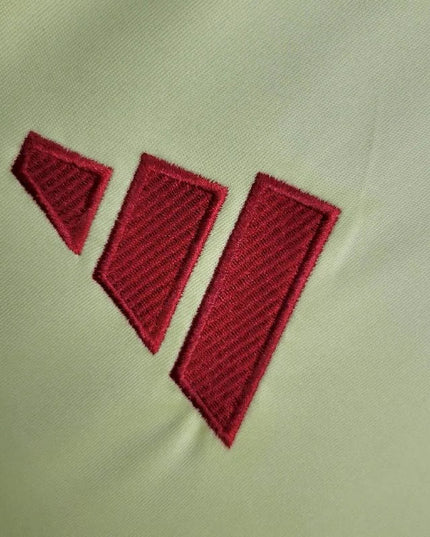 Camiseta de visitante de España 24/25
