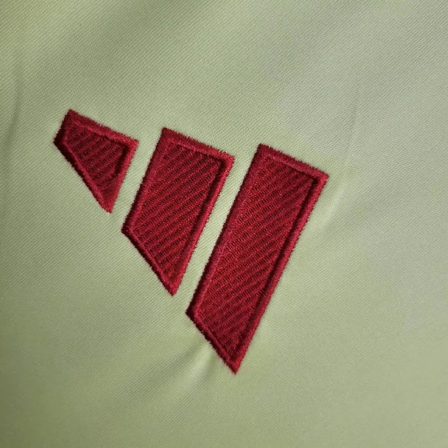 Spain 24/25 Away Shirt