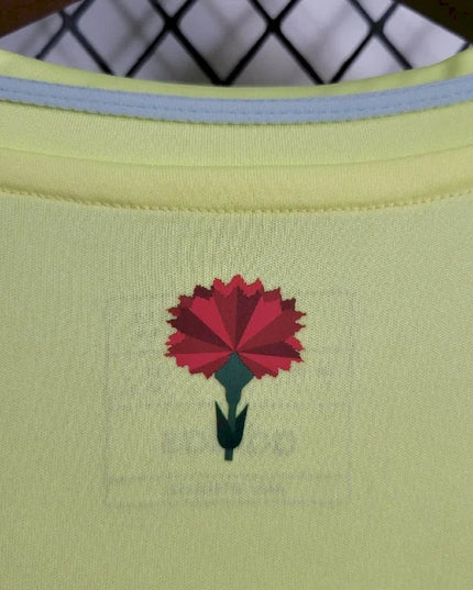 Camiseta de visitante de España 24/25