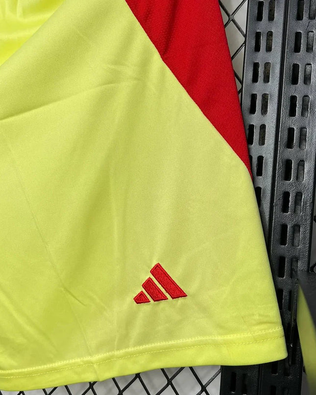 Spain 24/25 Away Shorts
