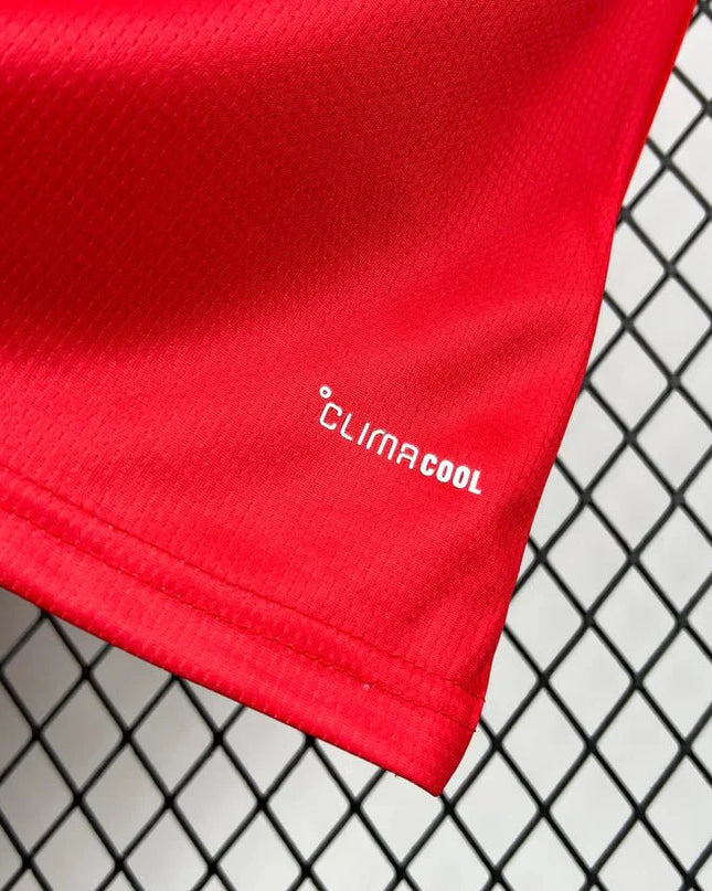 Wales 2026 World Cup Home Shirt